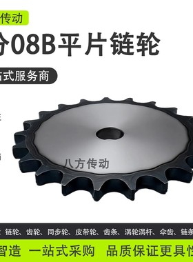 4分08B平片链轮5分10A6分12A1寸16A20A24A32A工业链条链片齿轮