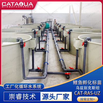乌兹别客斯坦工厂化室内循环水养殖系统高密度孵化养殖鲤鱼设备