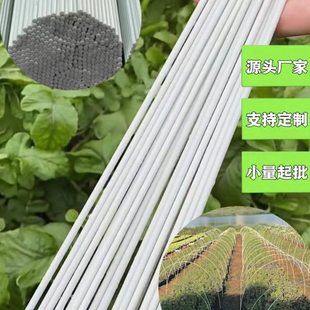 拱棚杆蔬菜支架育苗大小温棚杆保温弹力棒实心棒玻璃钢纤维杆农用