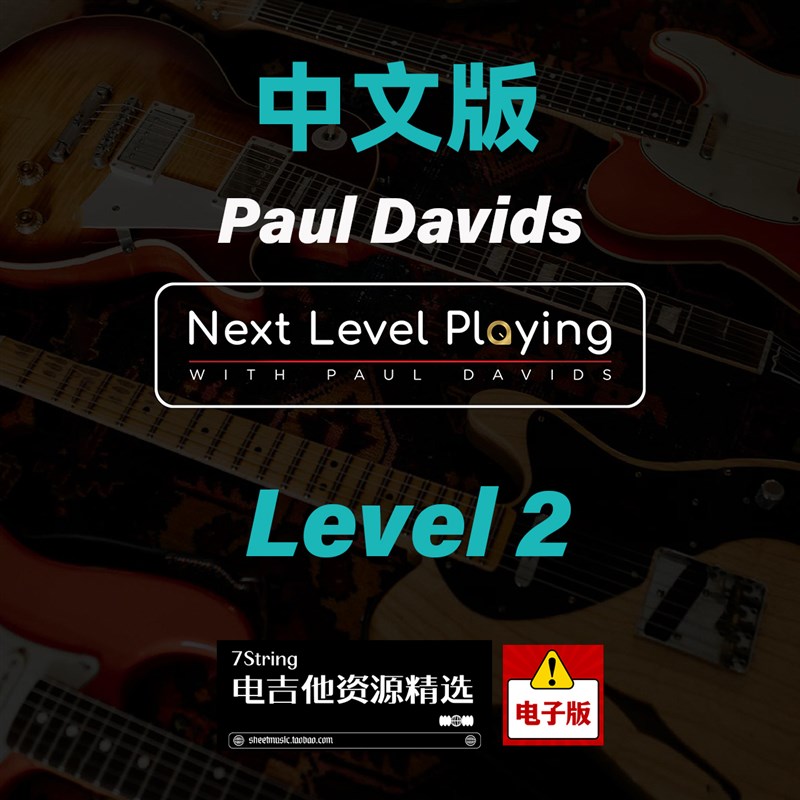 中文 Paul Davids - Next Level Playing Level 2 电吉他系统学习