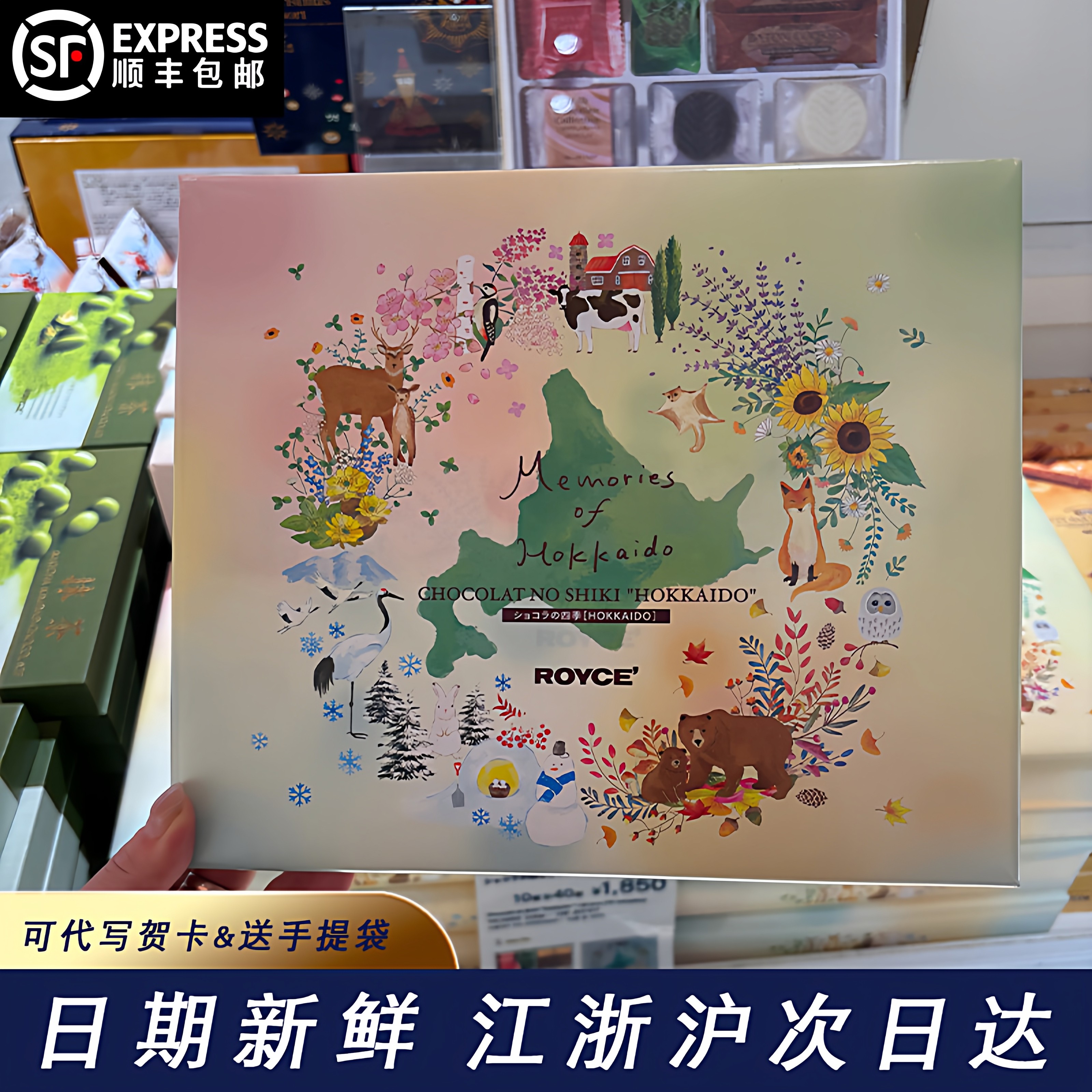 日本北海道royce生巧克力威化曲奇饼零食四季礼盒送女朋友伴手礼