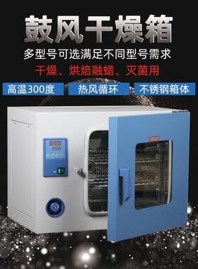 上海DHG-9013A/DHG-9053A实验室小型烘箱电热恒温鼓风干燥箱