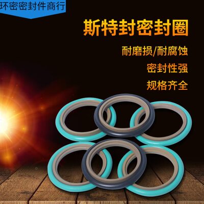 轴用斯特封 STd160*175.5/181*6.3/8.1 170*185.5*6.3