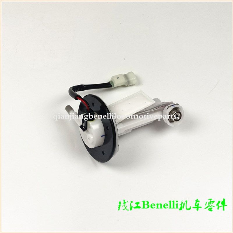 适用金鹏BJ500GS-A/5D/502X/骁500/5F/5B燃油泵组件汽油泵供油泵