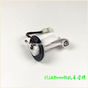 骁500 5B燃油泵组件汽油泵供油泵 502X 适用金鹏BJ500GS