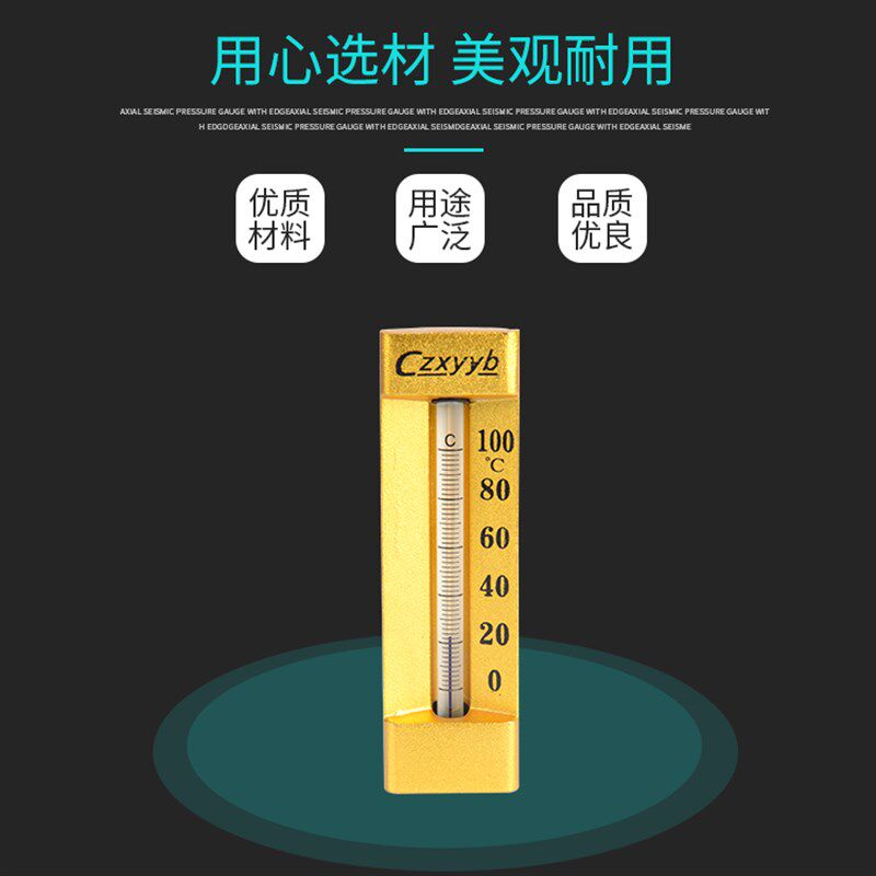 工业温度计 V型角型船用铜套温度计 WNY-12  100度  L=60mm  G1/2