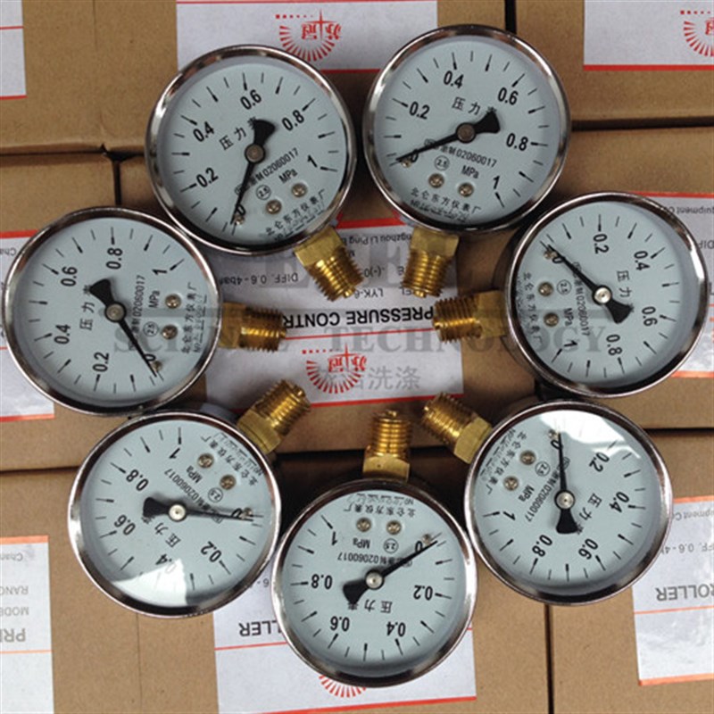 压力表蒸汽锅炉专用压力表1MPa管E道气压表高温灭菌锅空压机压力