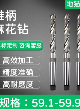 加长锥钻锥柄麻花钻59 59.2 59.3 59.4 59.5 59.6 59.7 59.8 59.9