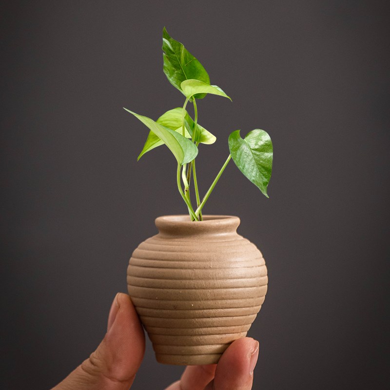 粗陶原土烧制绿植专用花瓶禅意复古家用室内干花U陶瓷小花器茶台