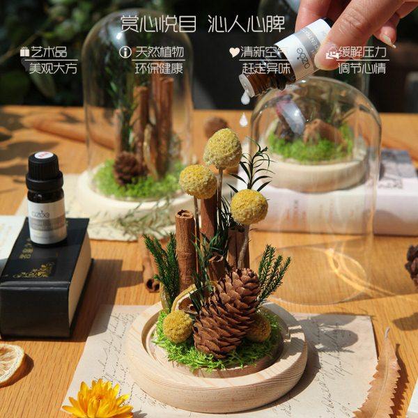 魔法森林干花无薰家居扩香精油玻璃罩摆件肉桂微景观生日礼物乔迁,家居饰品,香薰摆件,淘宝优惠券,粉丝福利购,淘宝优惠卷