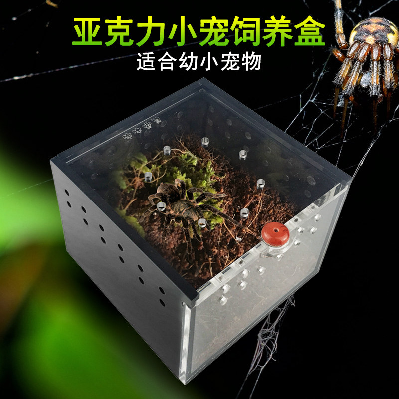 蜘蛛饲养盒迷你爬虫盒小爬宠盒养蝎子独角仙甲虫专业黑色亚克力盒