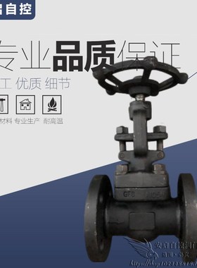 Z41H/Y-16C高温蒸汽导热油A105锻钢法兰闸阀DN15 20 25 32 40 50