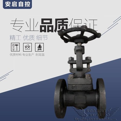 Z41H/Y-16C高温蒸汽导热油A105锻钢法兰闸阀DN15 20 25 32 40 50