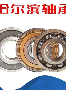 哈尔滨轴承16015 16016 16017 16018 16019 16020 ZZ RS