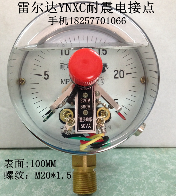 雷尔达YNXC-100耐震电接点压力表 抗震充油0-1  1.6 25  40MPA