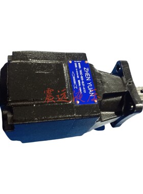 T6GC-B25-6L01-A101叶片泵T7B T6GC T6D T6E T7D单联泵双联泵