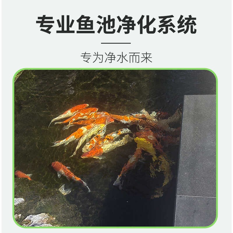 鱼池过滤器水循环系统q净化水过滤设备仓净水器转鼓微滤机大型锦