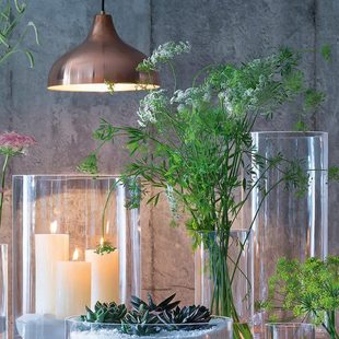 高款特大号玻璃花瓶透明富贵竹龙竹大口径宽口大口广口敞口醒花桶