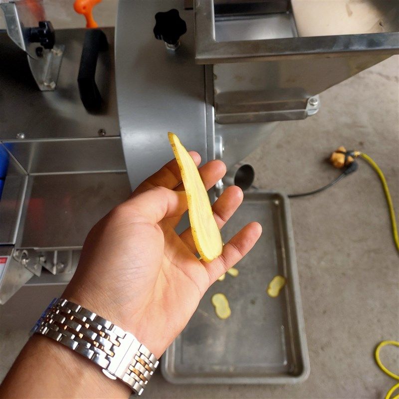 多功能切菜机 豆角切段机 大型蔬果加工设备 蔬菜切段切片切丝机