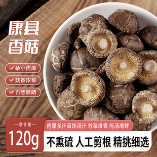 康县优质香菇菇类干货甘肃小香菇煲汤食材农家干香菇新货肉厚无根