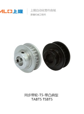 上隆同步带轮-T5带凸肩型 TABT5 TSBT5-14-100-P8 P5