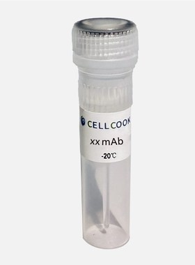 SIRT1兔单抗抗体