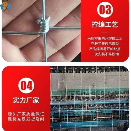 热镀锌铁丝网防锈围栏网拦牛羊养殖网牛栏网果园防护网钢丝网