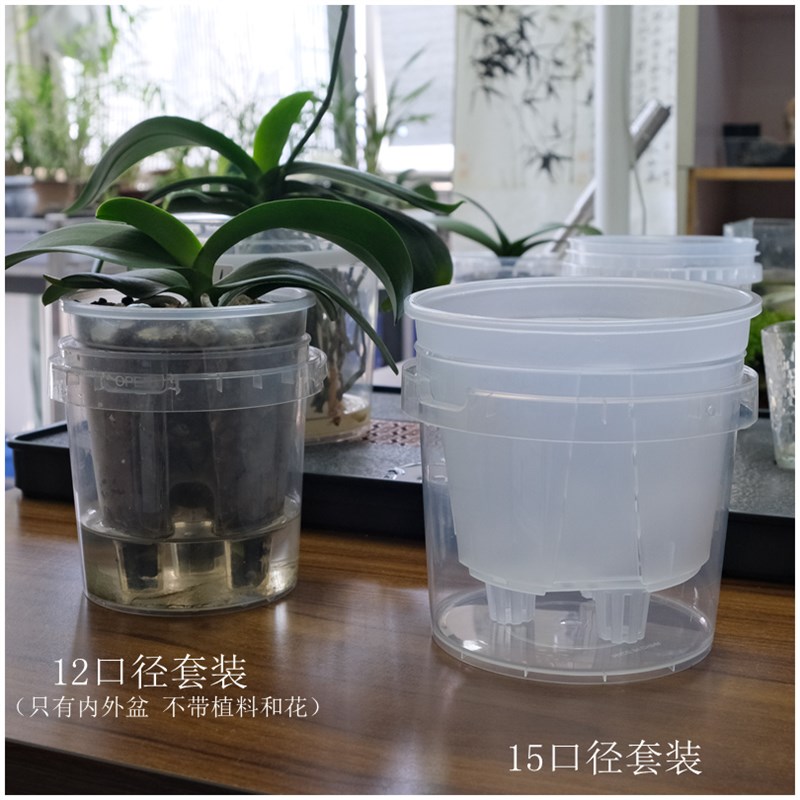 蝴蝶兰花盆套盆半水培器皿绿植双层套装透明懒人自吸水储水盆
