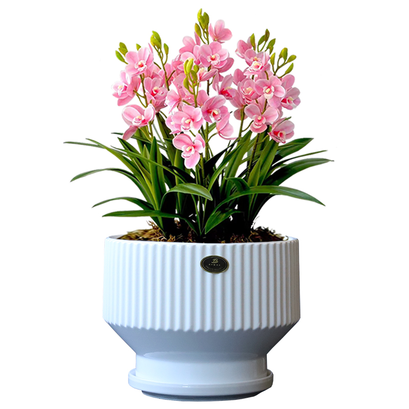 花盆陶瓷特大亚光新款竖纹高脚阳台客厅摆件绿植绿萝蝴蝶兰花盆栽