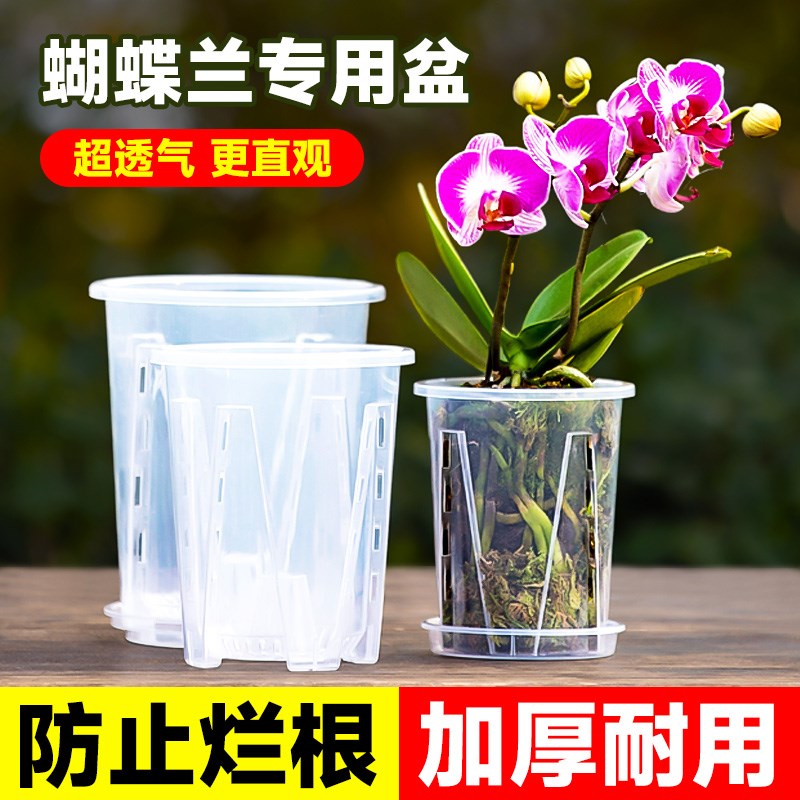 透明青山控根盆兰花水苔蝴蝶兰花盆塑料透气镂空大号花盆家用