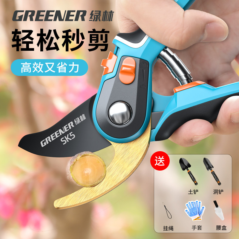 园艺剪刀修枝剪树枝专用剪刀修枝剪果树修枝花剪树枝园林花卉绿林