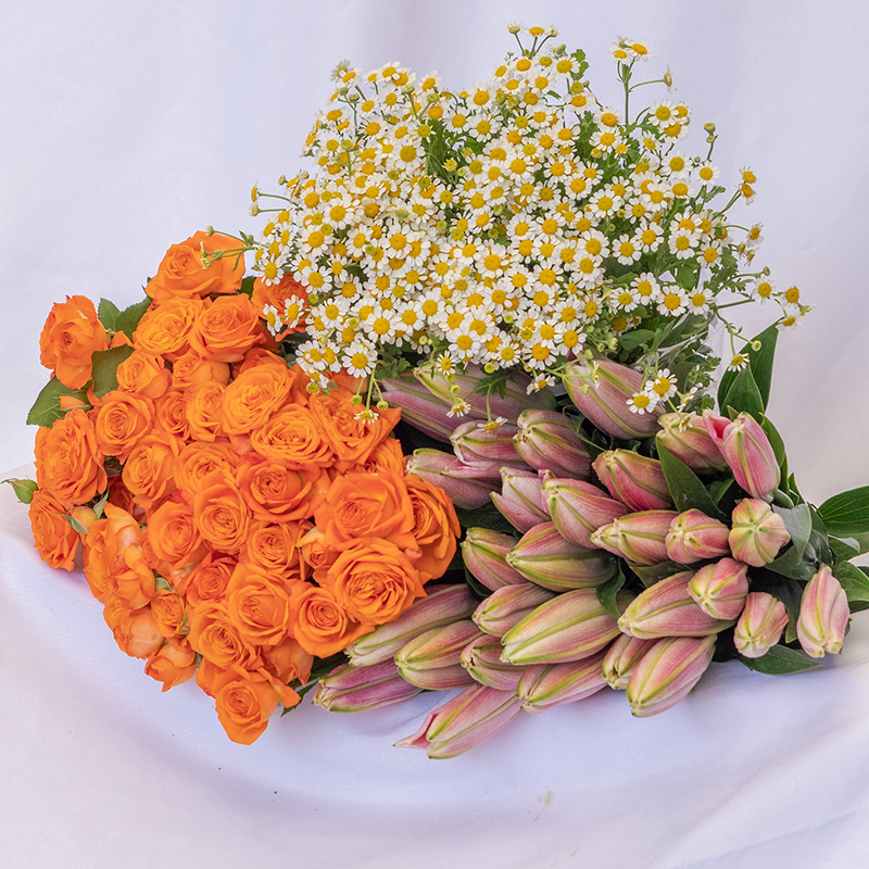 云南鲜花基地直发香水百合鲜切花真花向日葵玫瑰花束家用水养插瓶