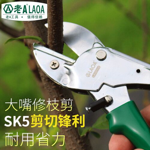 老A园艺剪刀8寸树枝剪刀果枝剪园林剪刀修花剪刀修枝摘果剪刀工具