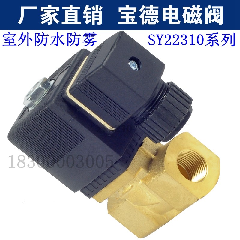 4分室外防水电磁阀水阀SY22310-08 10 15 20 1寸220V 24V 12V