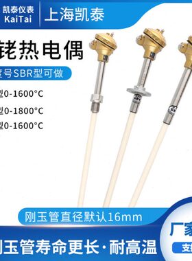 S型铂铑热电偶WRP-130/0-1600度高温刚玉管热电偶B/R型温度传感器