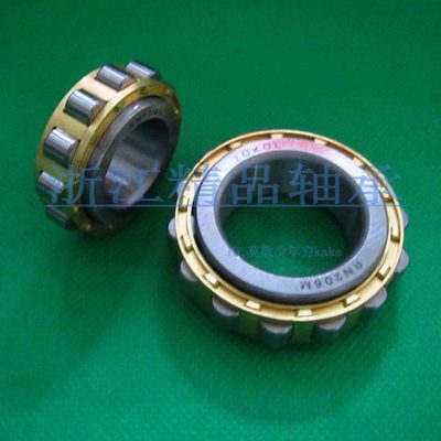 ZOKOL【轴承】RN306 307 309 310 312 313 328M减速机 短圆柱滚子