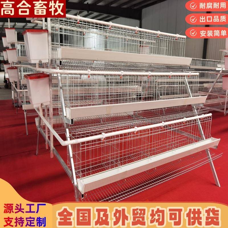 蛋鸡笼三层五门阶梯蛋鸡笼镀锌笼小鸡笼白食槽全自动半自动鸡舍