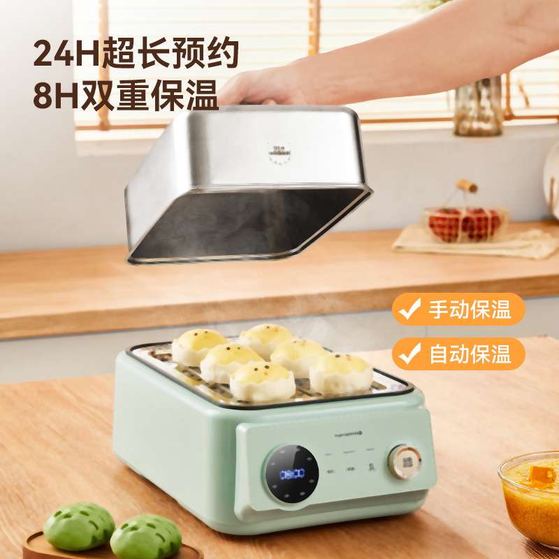 跨境Asma电蒸锅家用多功能蒸汽锅早餐蒸炖一体锅蒸箱多层不锈钢