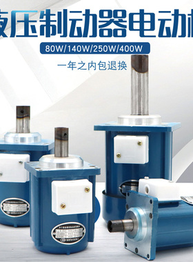 三相异步微型电动机液压制动器/推动器电机YTD80W/140W/250W/400W