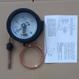 双上限远传变压器测油温表 温度计上下限 红旗WTZ 288电接点压力式