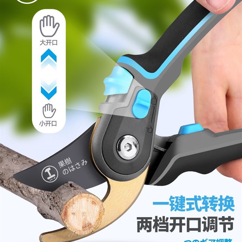 剪刀修枝剪花卉草果树林园艺绿化专用助农进口不锈钢小型一体剪子图片