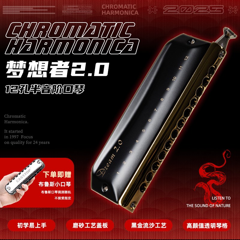 EASTTOP东方鼎半音阶口琴演奏12孔c调入门学生初学梦想者2.0