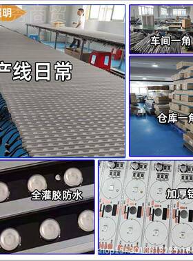 ed户外灯洗墙l灯 外墙背景亮化低压BCB防水DMX5节12霓虹跑马能