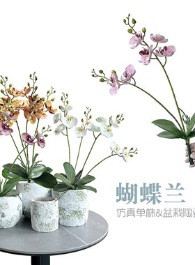 仿真手感假兰花单株带叶蝴蝶兰花艺陶瓷盆栽摆件居家茶几装饰摆设