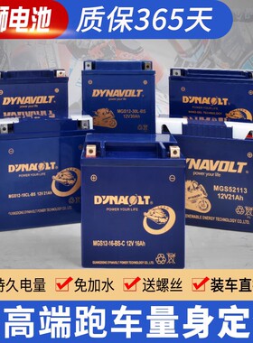 猛狮摩托车电瓶适用哈雷883宝马1200RT/12V12A/14A/20A大排量电池