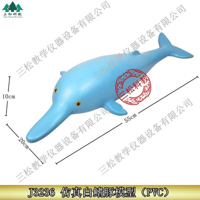 J3236高仿真白鳍豚海豚模型幼儿儿童小学科学教学标本仪器