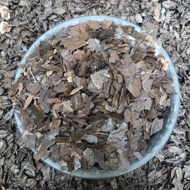 腐熟刺栗叶发酵刀砍叶黄栗叶瓜子叶兰花专用土兰花植料兰花配料