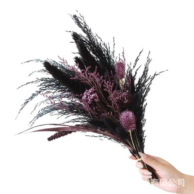 狂想者新品紫雪松果芦苇混搭花束拍摄道具花束装饰花艺摆件