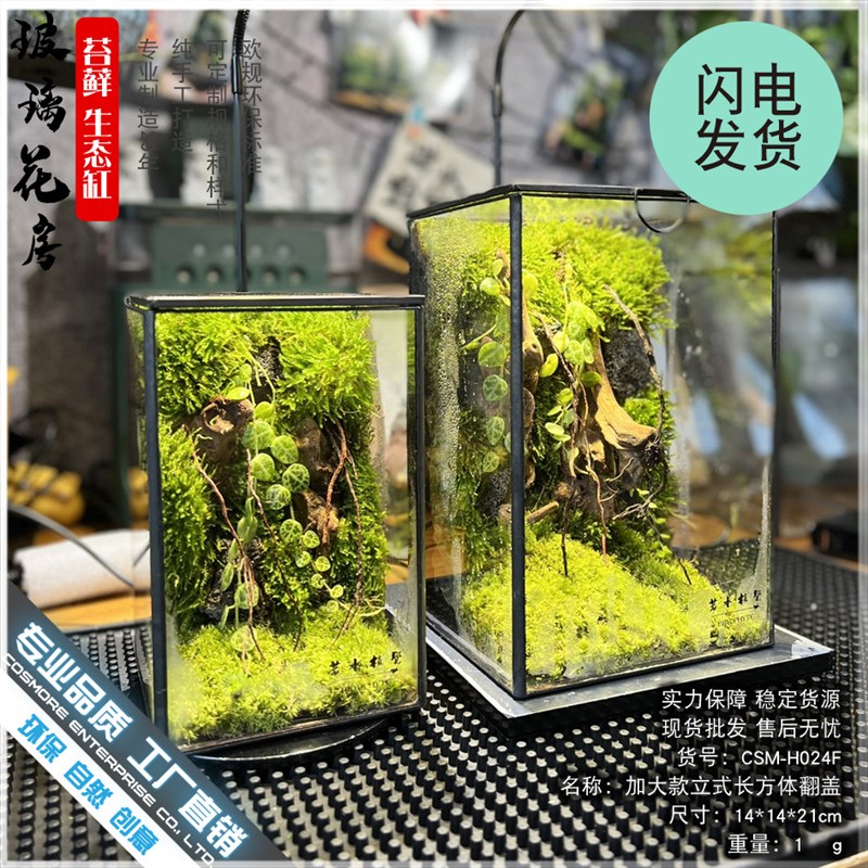 苔藓沉木微景观雨林缸生态瓶造景几何玻璃花房创意植物盆景长方形