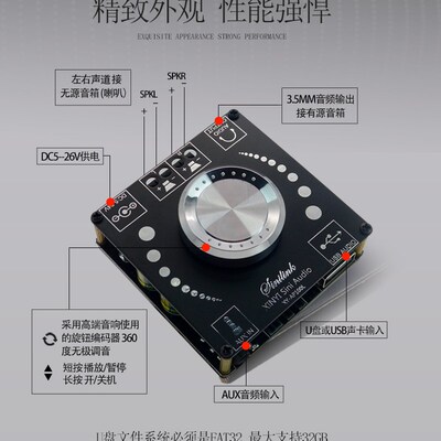 INI ini udio W立体声数字功放板声道度无极调音